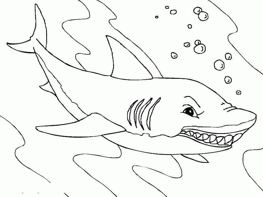 Название: Раскраска Злая акула. Категория: . Теги: .