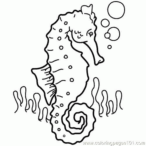 Название: Раскраска Название: Раскраска Морской конёк любит пузырьки. Категория: Морские животные. Теги: Подводный мир, морские коньки.. Категория: . Теги: .