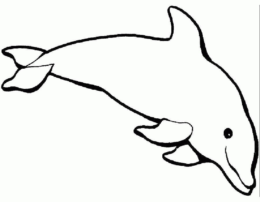 Название: Раскраска Дельфин любит плавать. Категория: . Теги: .