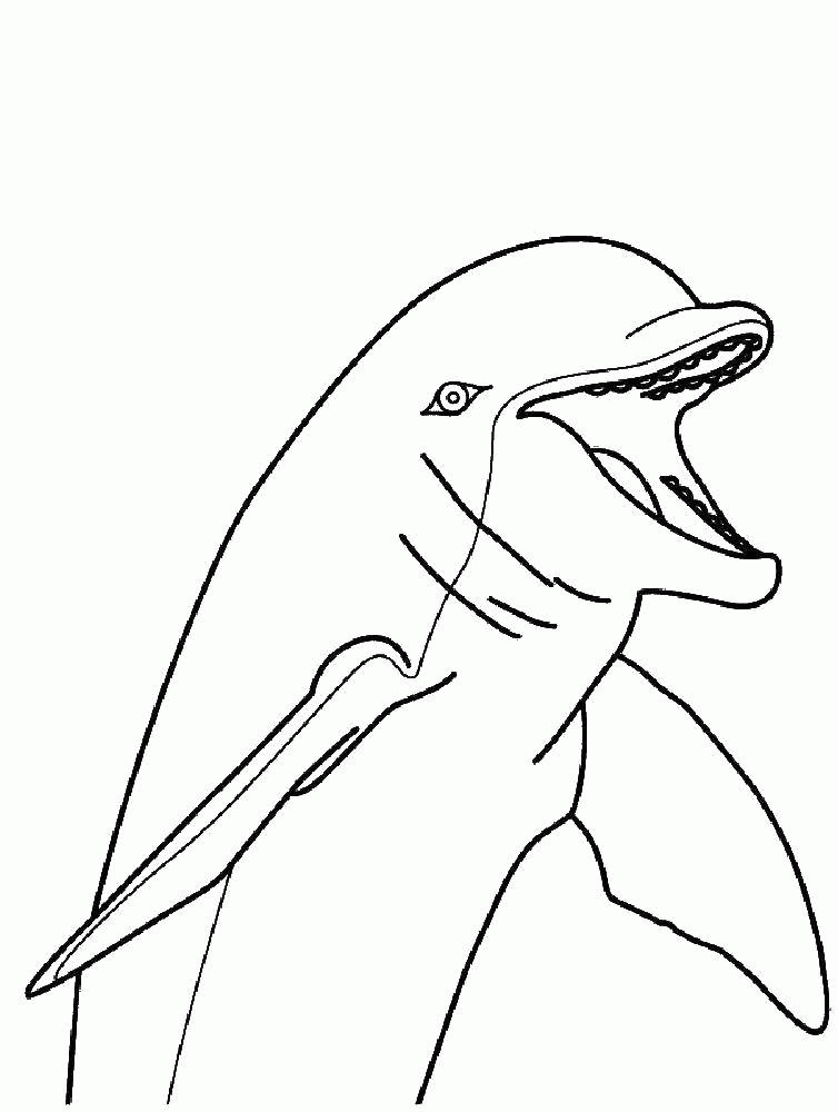 Название: Раскраска Название: Раскраска Дельфинчик. Категория: дельфин. Теги: Подводный мир, дельфин.. Категория: . Теги: .
