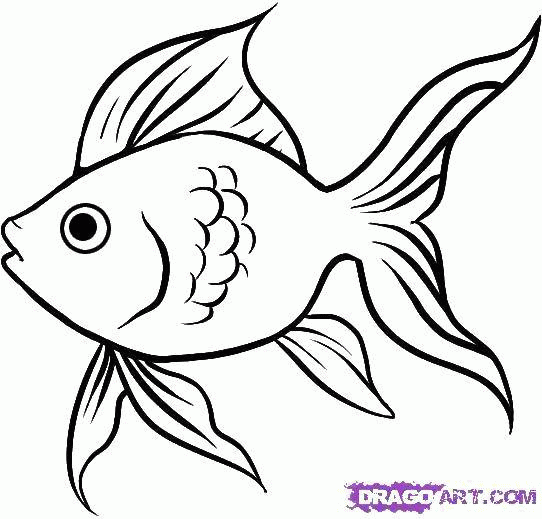 Раскраска Название: Раскраска Рыбка золотая. Категория: рыбы. Теги: рыба, плавник, хвост. Скачать .  Распечатать 