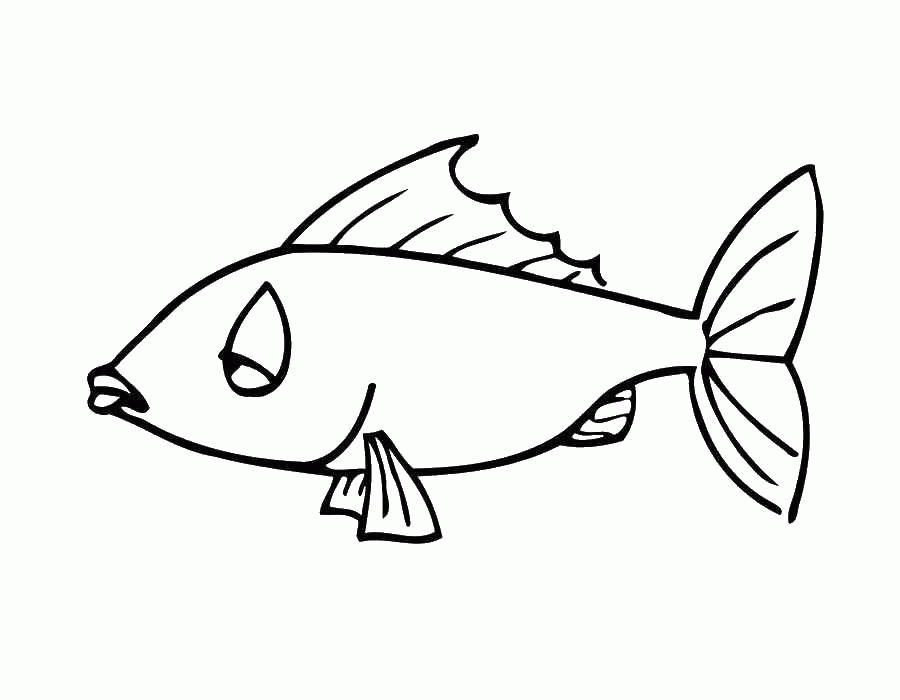 Название: Раскраска Название: Раскраска Рыбы. Категория: рыбы. Теги: рыбы.. Категория: . Теги: .