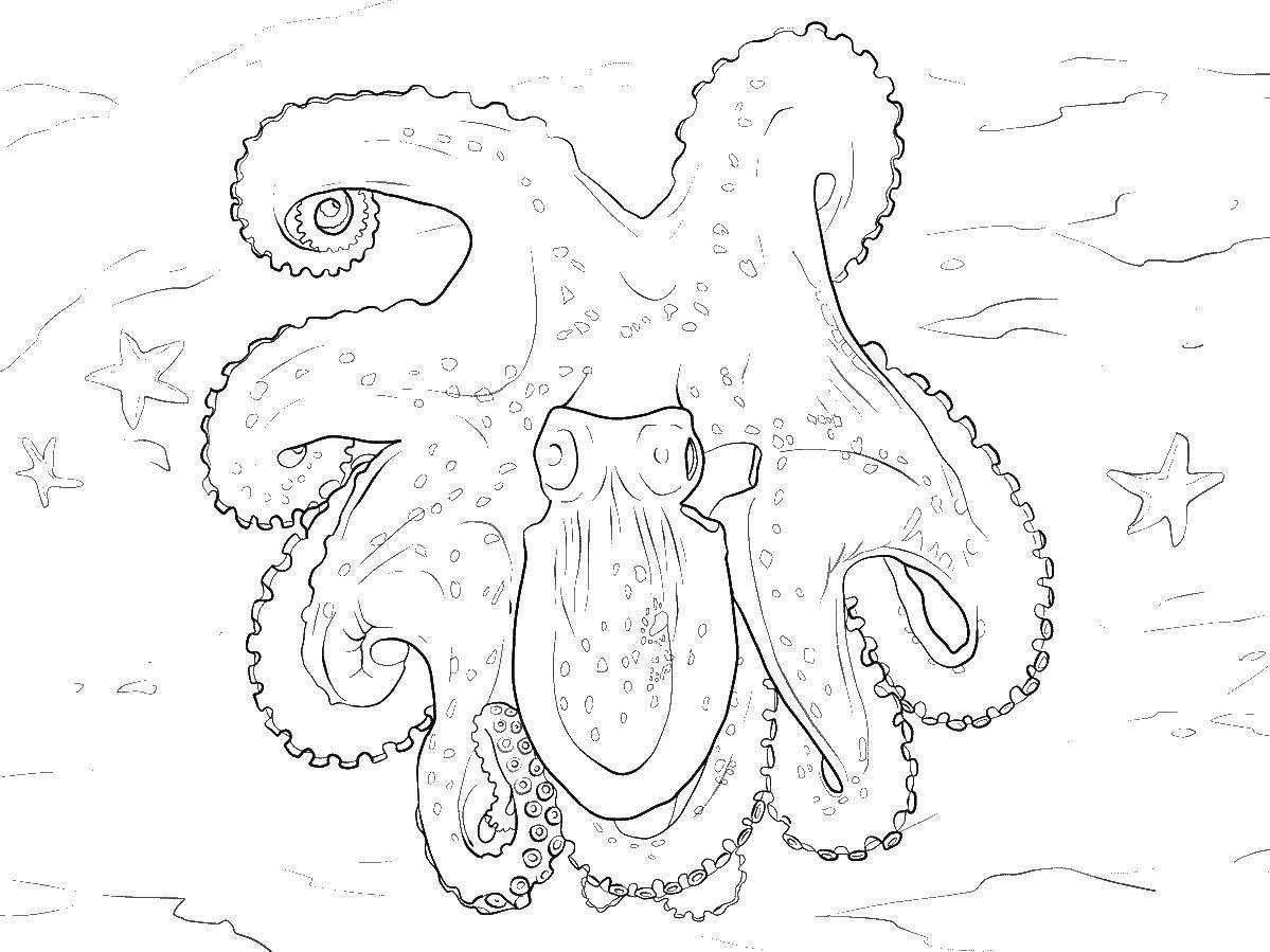 Название: Раскраска Раскраска Гигантский осьминог Скачать Подводный мир, осьминог.  Распечатать ,осьминог,. Категория: . Теги: .