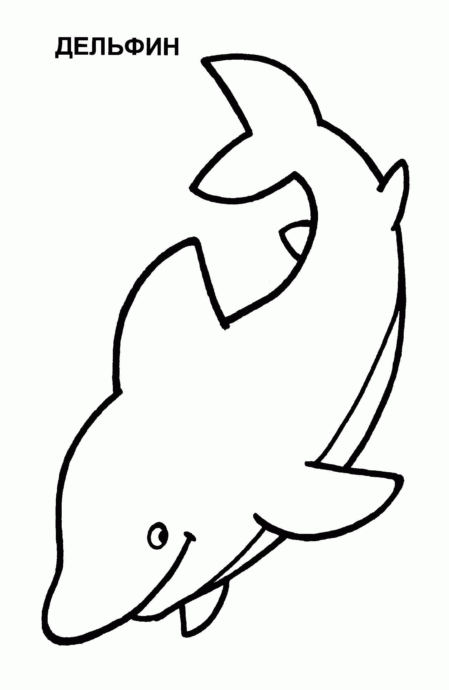 Название: Раскраска Раскраски дельфин детская раскраска дельфин. Категория: . Теги: .