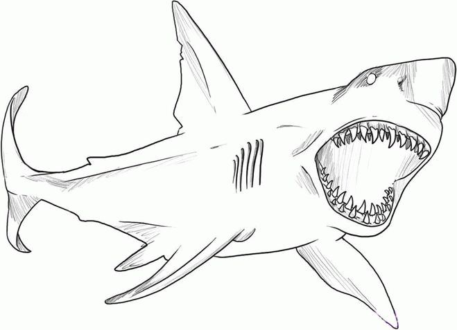Название: Раскраска Страшная акула с открытой пастью. Категория: . Теги: .