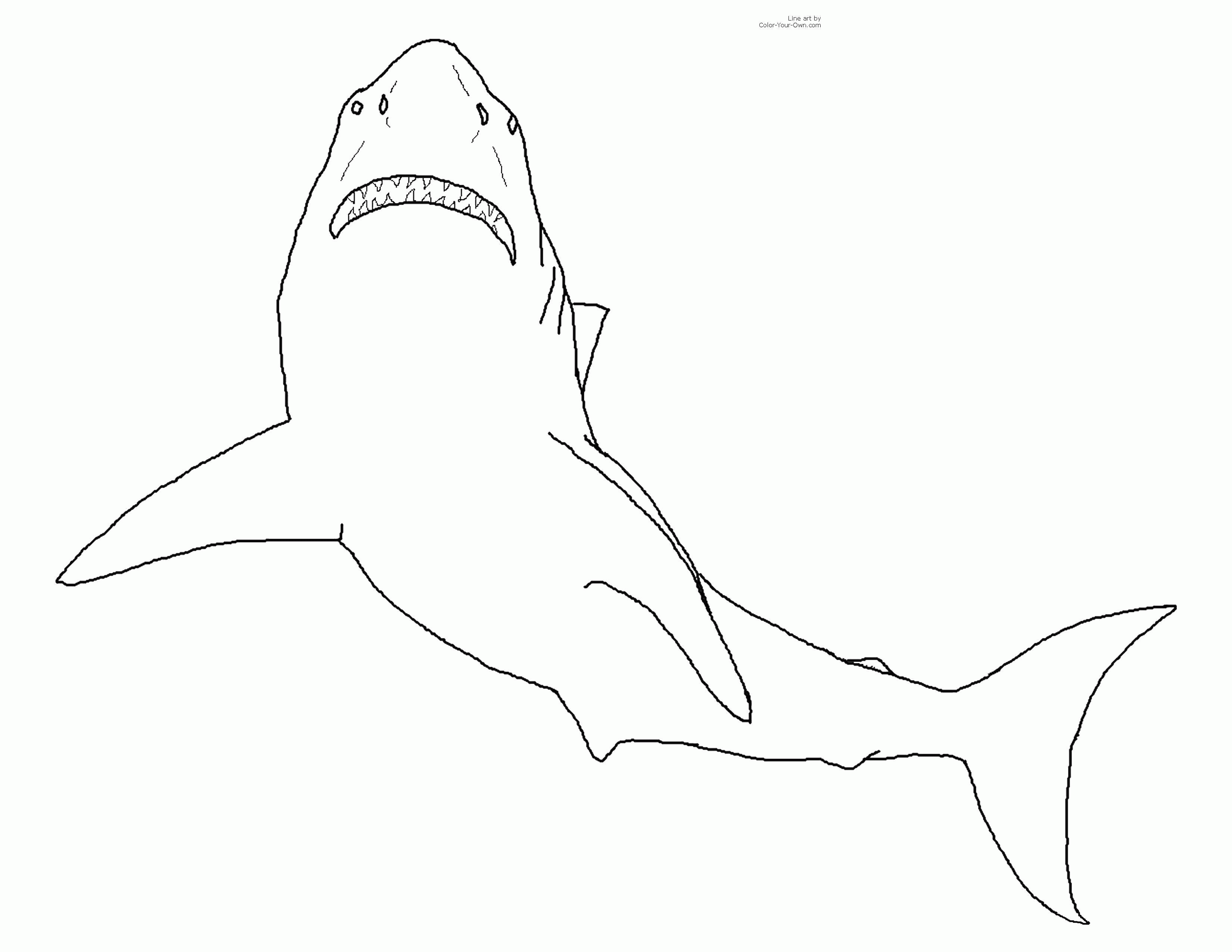 Название: Раскраска Плавающая акула. Категория: . Теги: .