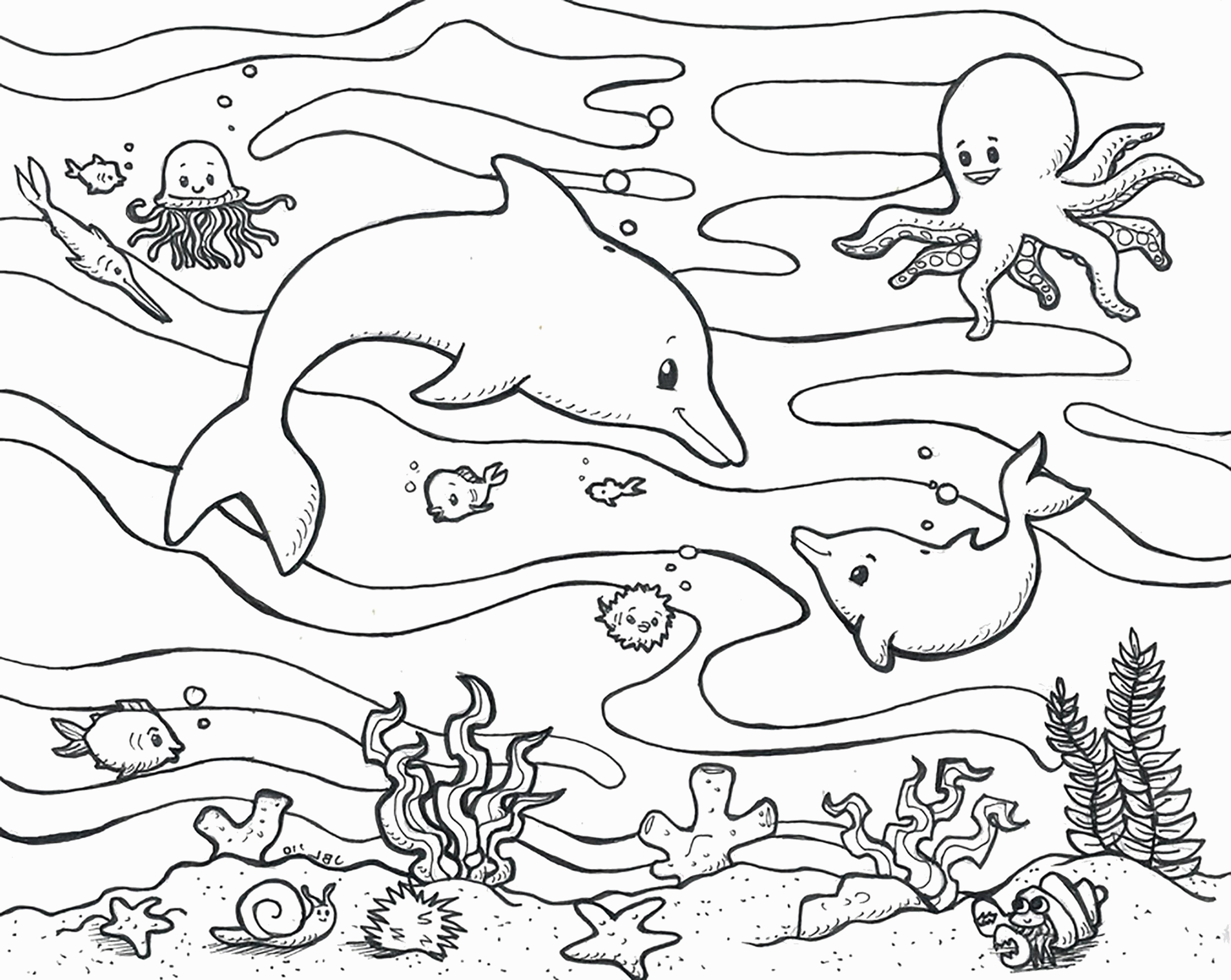 Название: Раскраска Раскраска Обитатели морских глубин . Скачать Дельфин, осьминог.  Распечатать Морские животные. Категория: . Теги: .