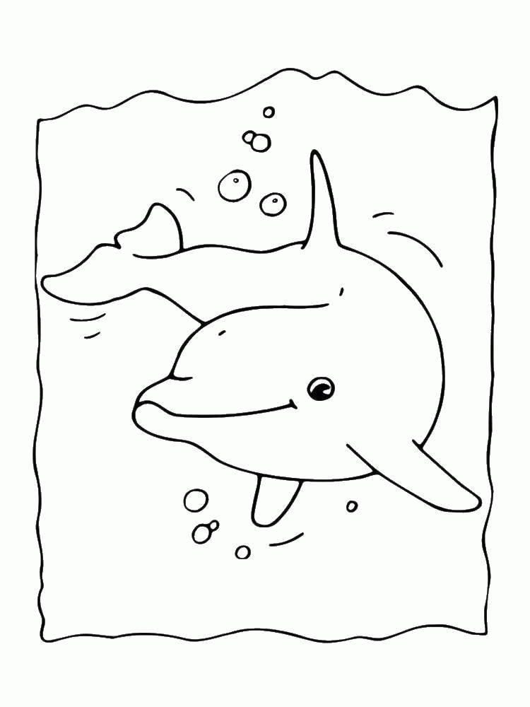 Название: Раскраска Дельфин плавает. Категория: . Теги: .