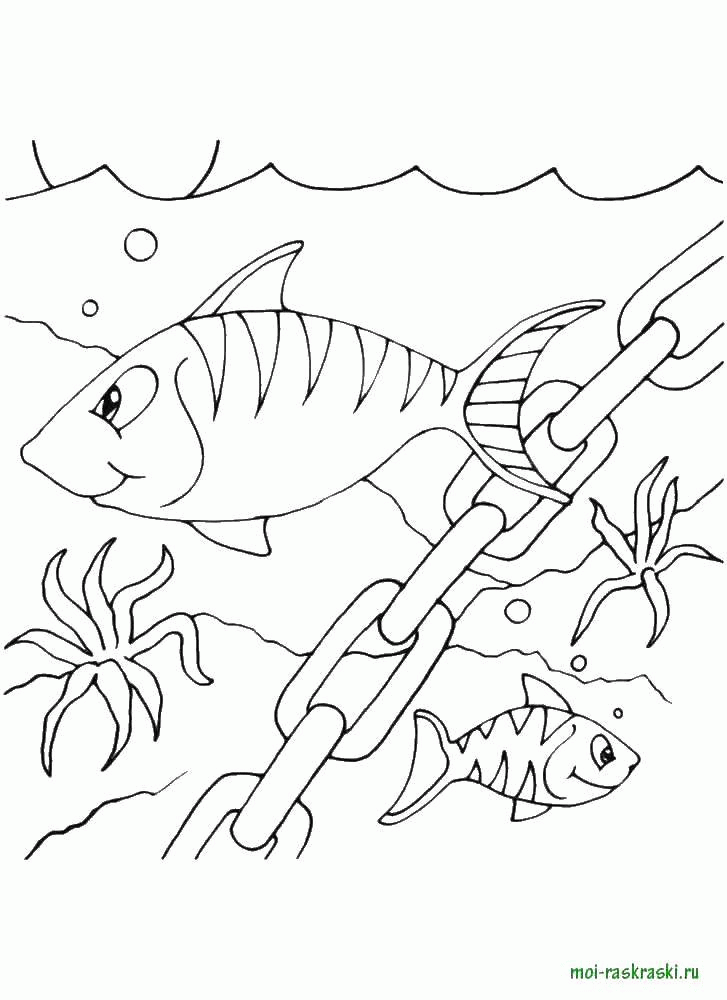 Раскраска Рыбы на дне моря Скачать .  Распечатать 