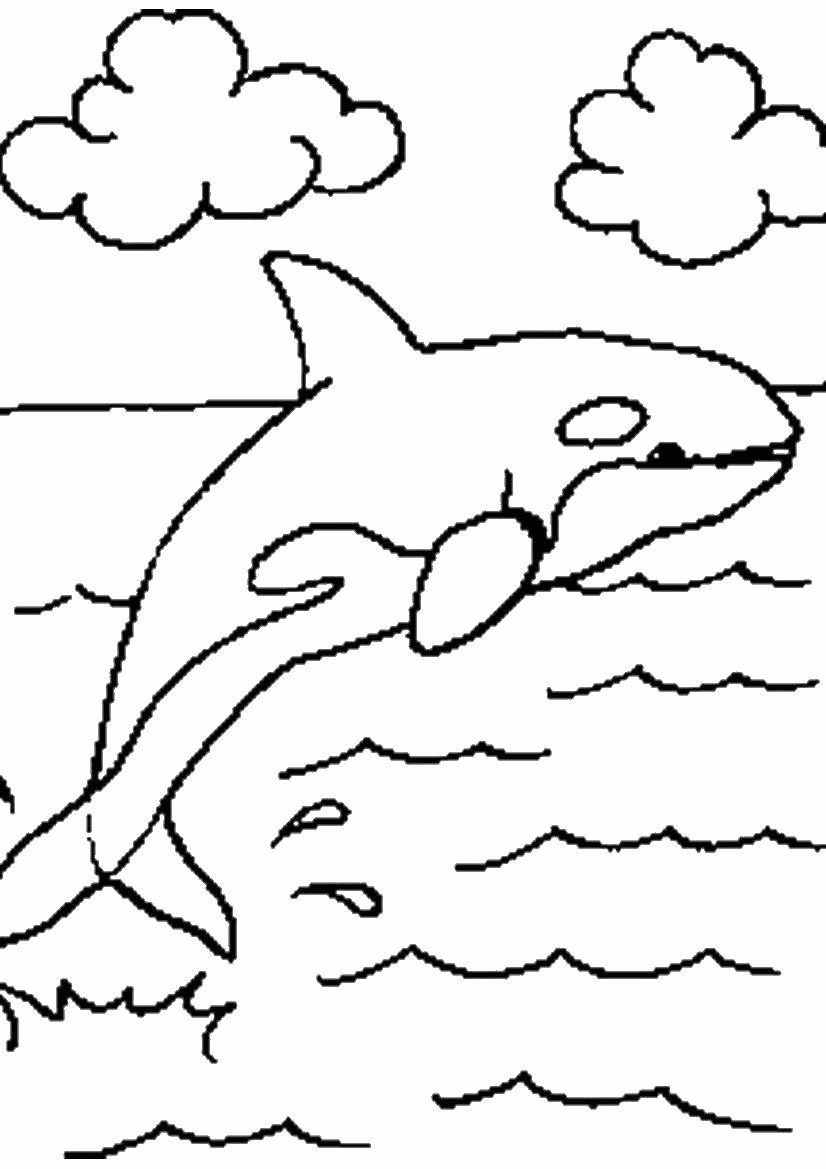 Название: Раскраска Касатка дельфин. Категория: . Теги: .