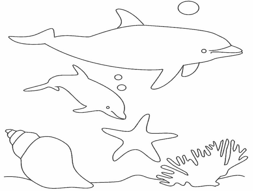 Название: Раскраска дельфины и морская звезда. Категория: . Теги: .