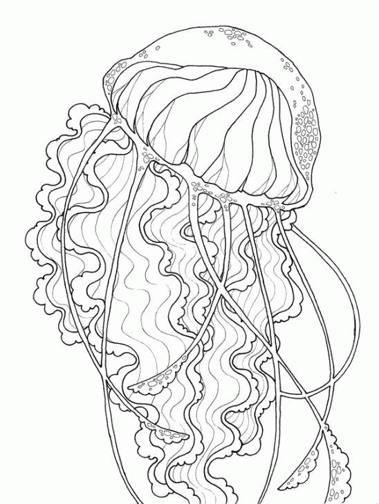 Название: Раскраска Большая морская медуза. Категория: . Теги: .
