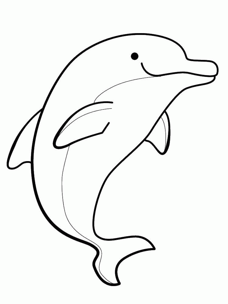Название: Раскраска Красивый дельфин. Категория: . Теги: .