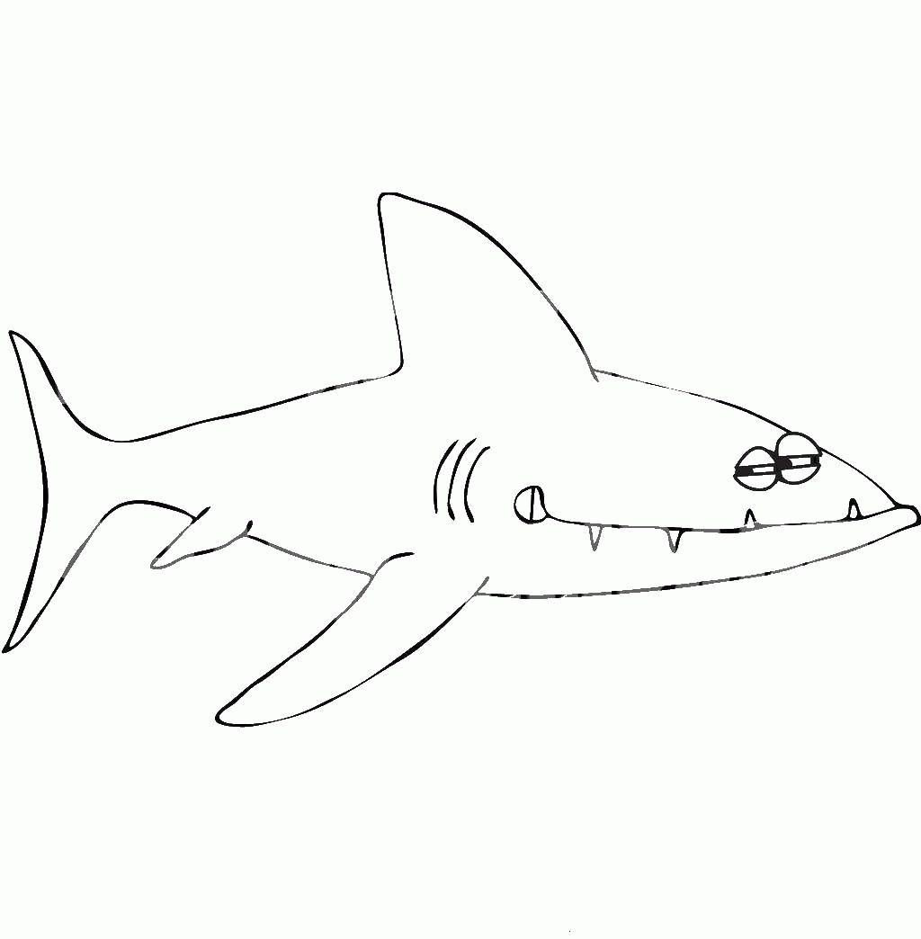 Название: Раскраска Название: Раскраска Акула. Категория: Акулы. Теги: рыбы, акулы, море.. Категория: . Теги: .