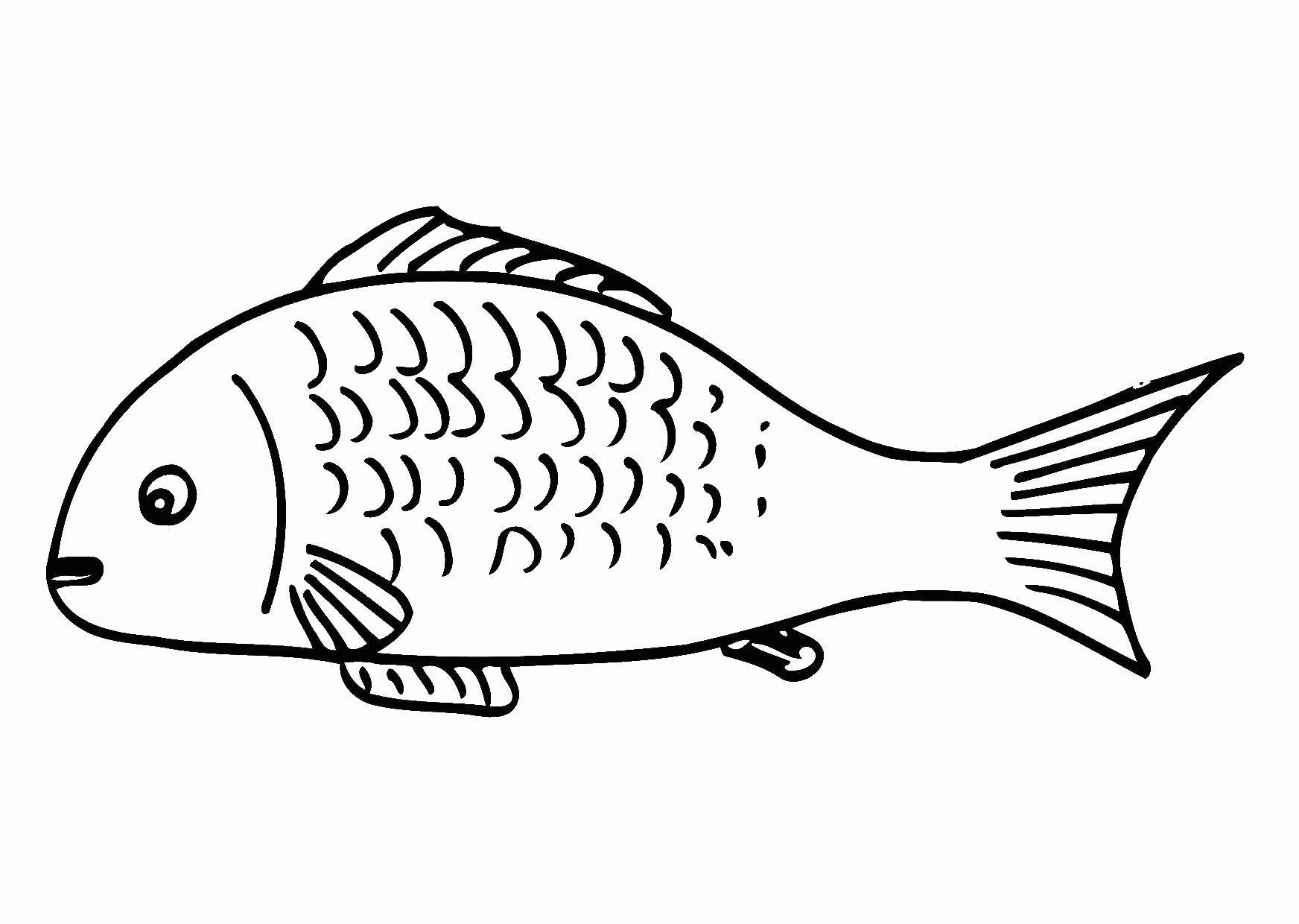 Раскраска Название: Раскраска Рыба с красивой чешуёй. Категория: рыбы. Теги: Подводный мир, рыба. Скачать .  Распечатать 