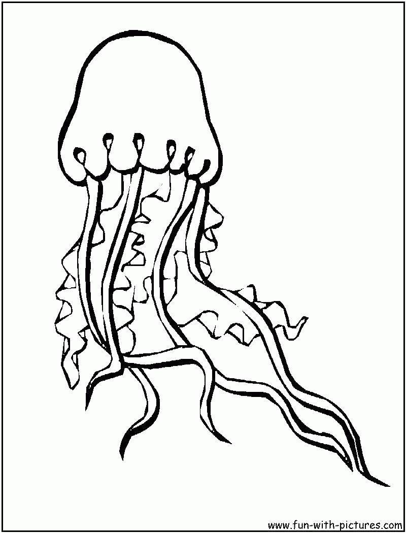 Название: Раскраска Морская медуза. Категория: . Теги: .