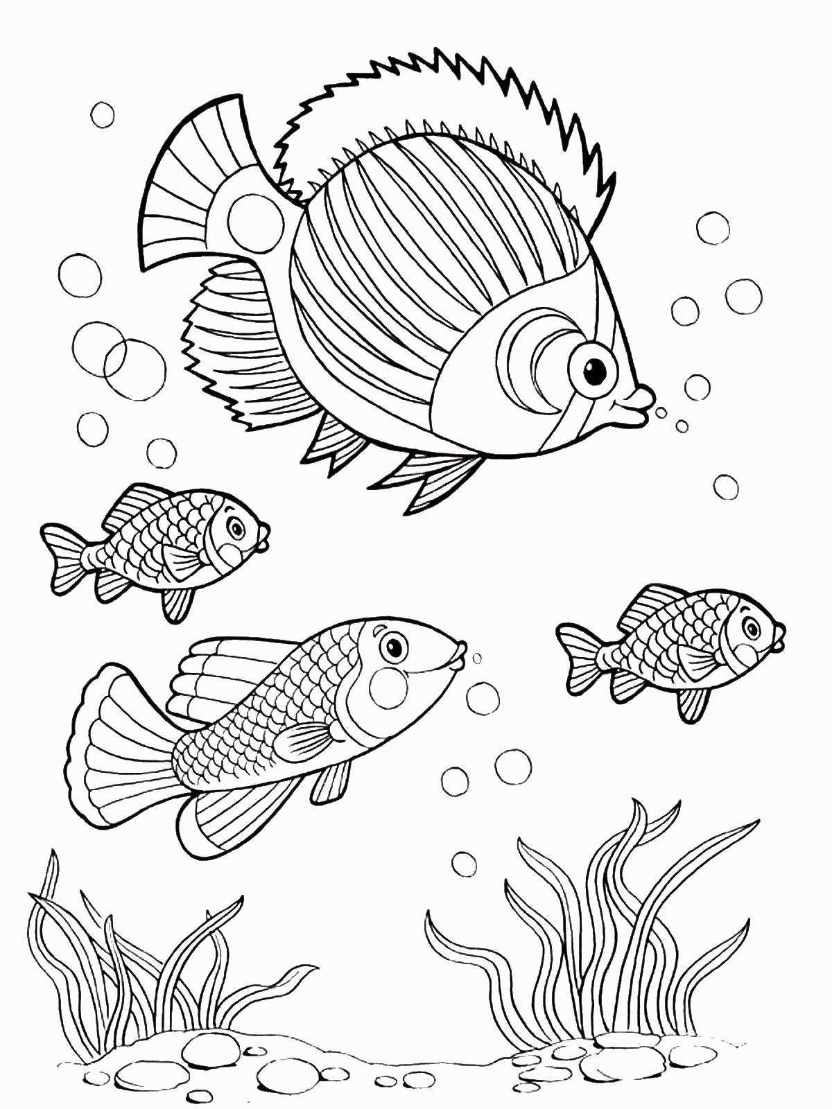 Раскраска Разнообразные рыбы около дна Скачать .  Распечатать 
