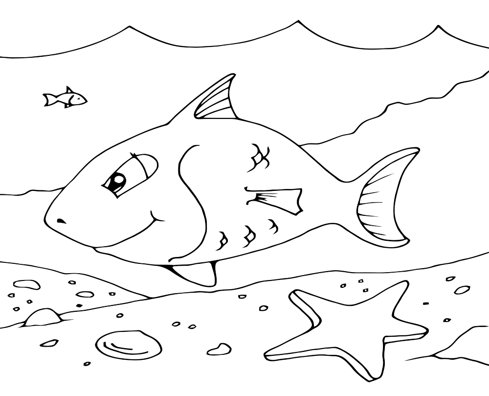 Название: Раскраска Раскраски морские Детская раскраска подводный мир,  рыбы,  морские звезды. Категория: . Теги: .