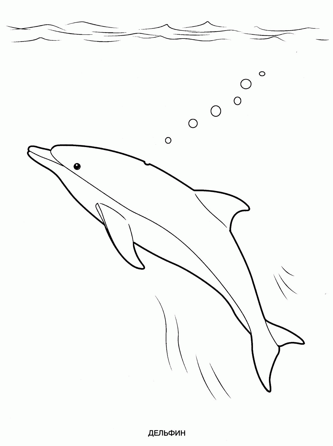 Название: Раскраска Дельфин в море. Категория: . Теги: .