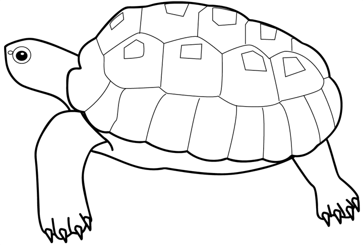 Название: Раскраска Большая морская черепаха. Категория: . Теги: .