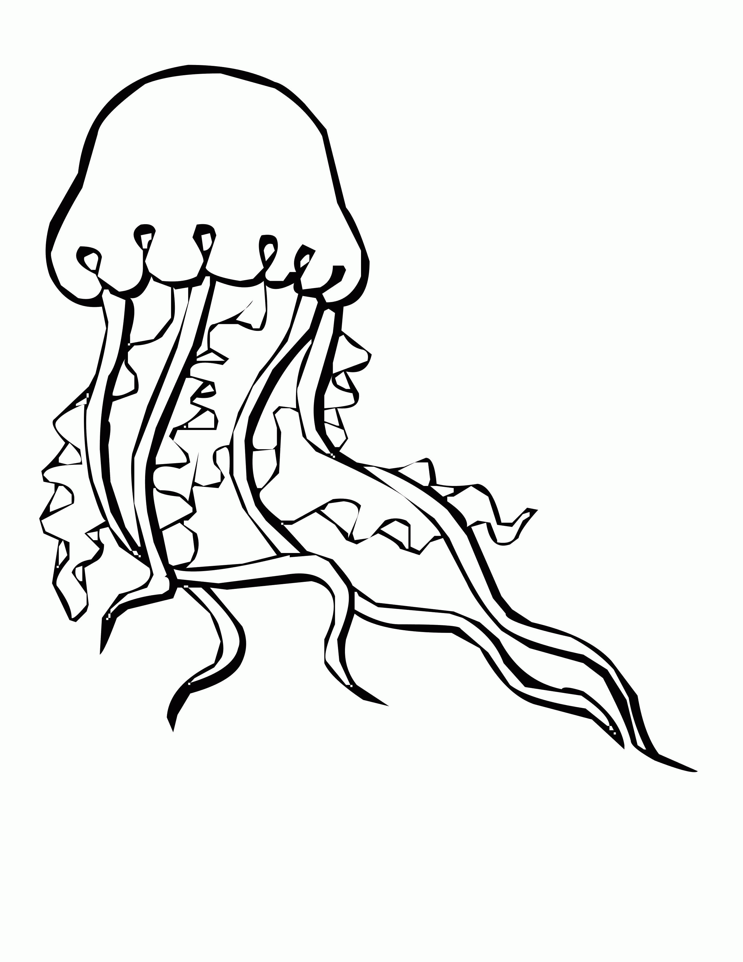 Название: Раскраска Медуза в океане. Категория: . Теги: .