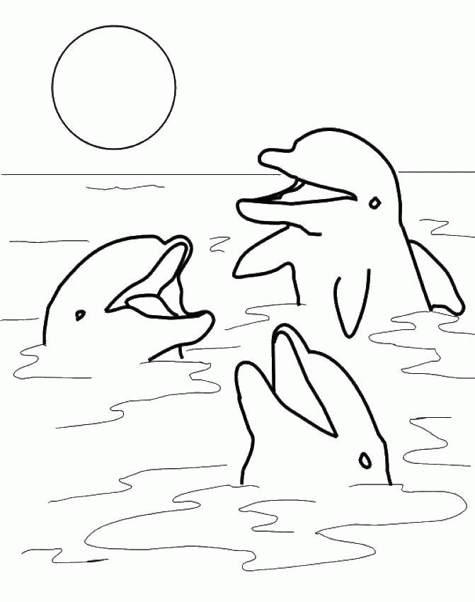 Название: Раскраска Дельфины выглядывают из воды. Категория: . Теги: .