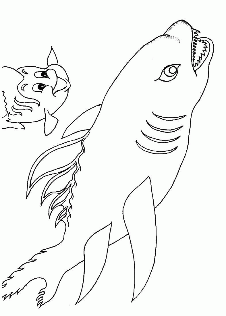 Название: Раскраска Флаундер и акула. Категория: . Теги: .