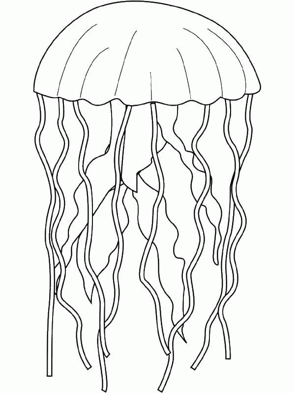 Название: Раскраска Прозрачная медуза. Категория: . Теги: .