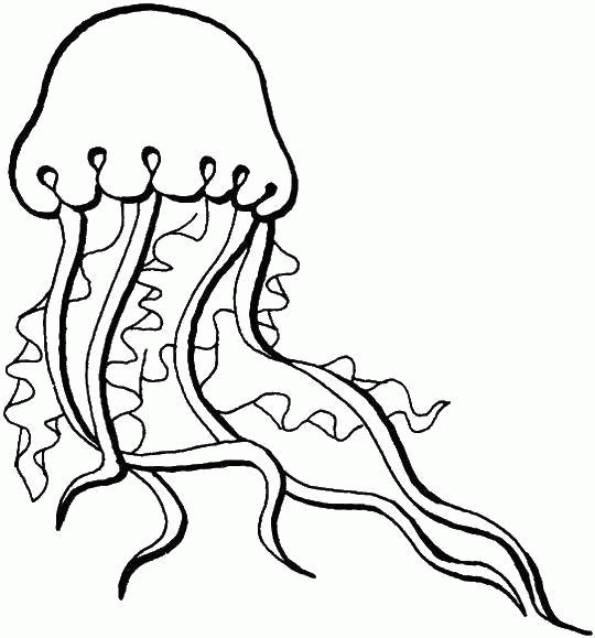 Название: Раскраска Название: Раскраска Медуза в океане. Категория: Морские обитатели. Теги: Подводный мир, медуза.. Категория: . Теги: .
