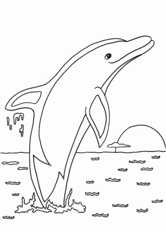 Название: Раскраска Дельфин в воде. Категория: . Теги: .