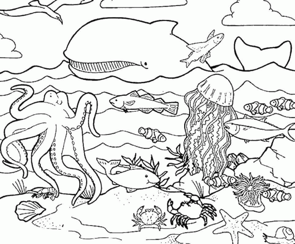 Раскраска подводный мир, осьминог кит и медуза Скачать .  Распечатать 
