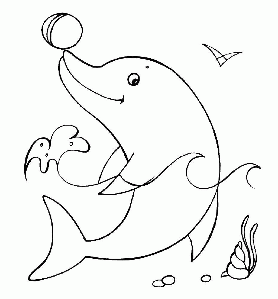 Название: Раскраска Название: Раскраска Дельфин и мяч. Категория: дельфин. Теги: дельфин, раковина, мяч.. Категория: . Теги: .