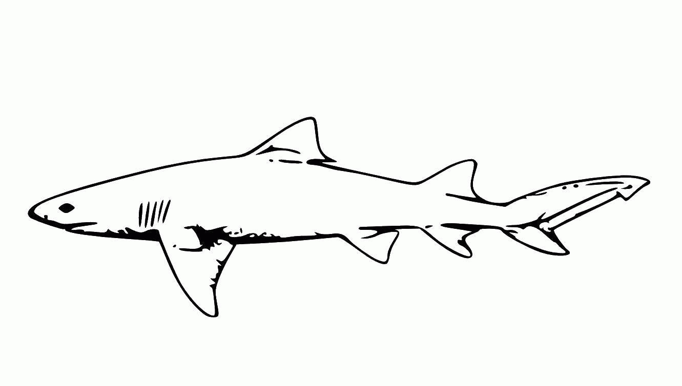 Раскраска акула Скачать .  Распечатать 