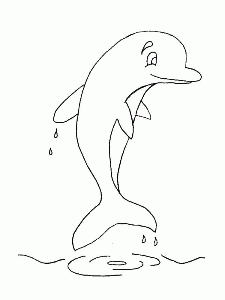 Название: Раскраска Дельфин и капли воды. Категория: . Теги: .
