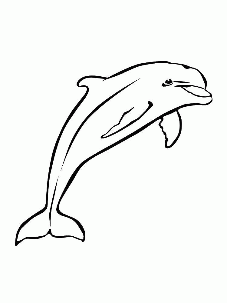 Название: Раскраска Дельфин прыгает. Категория: . Теги: .