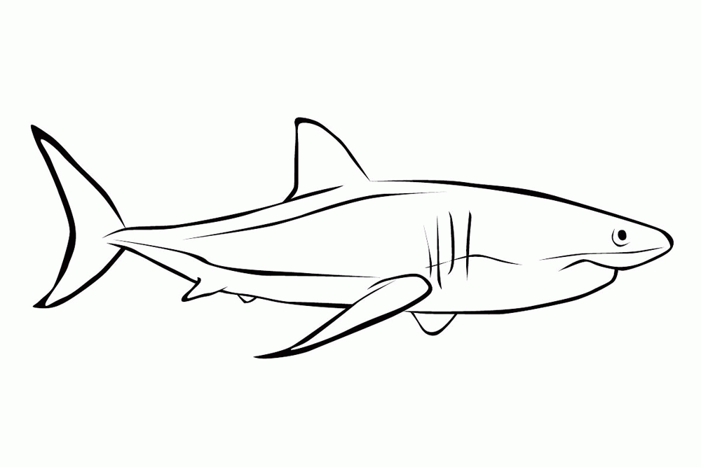 Название: Раскраска Раскраски рыбы акула. Категория: . Теги: .