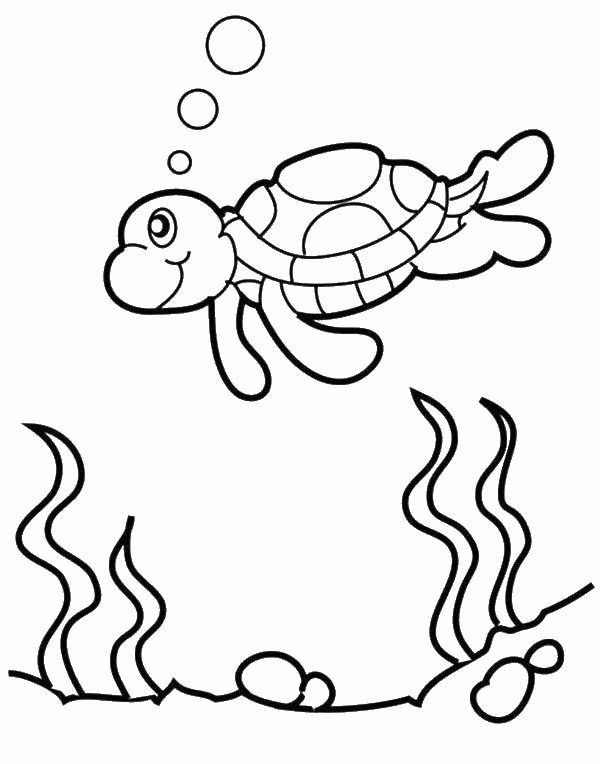 Название: Раскраска Морская черепаха в воде. Категория: . Теги: .