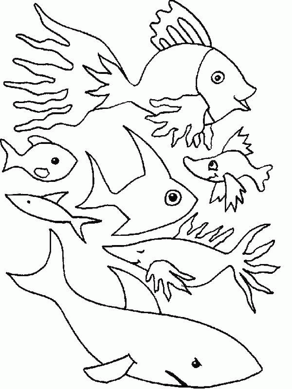 Название: Раскраска Рыбы, морские животные. Категория: . Теги: .