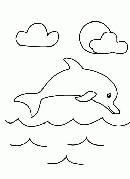 Раскраска дельфин Скачать .  Распечатать 