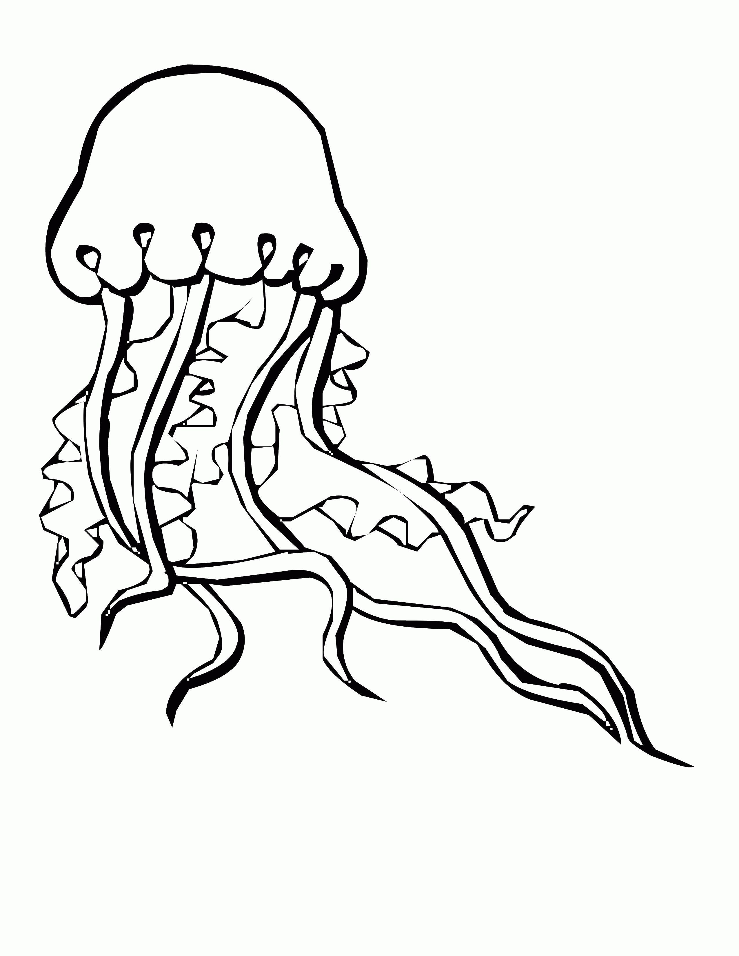 Название: Раскраска Огромная опасная медуза. Категория: . Теги: .
