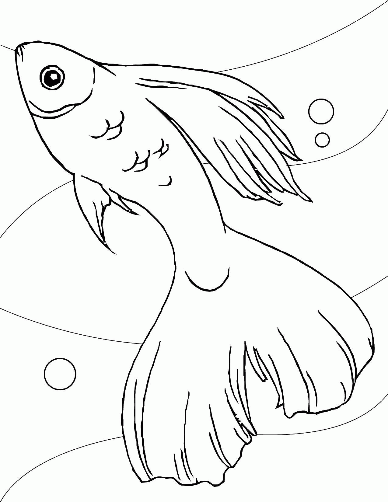 Раскраска Название: Раскраска Золотая рыбка. Категория: рыбы. Теги: рыба, хвост, плавник, пузыри. Скачать .  Распечатать 