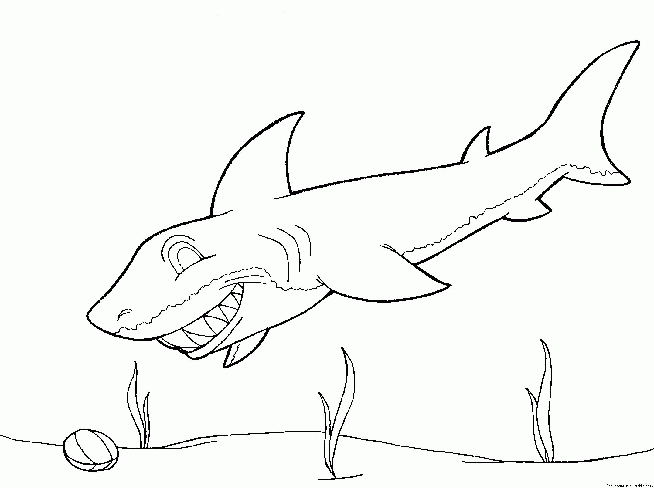 Название: Раскраска Зубастая акула. Категория: . Теги: .