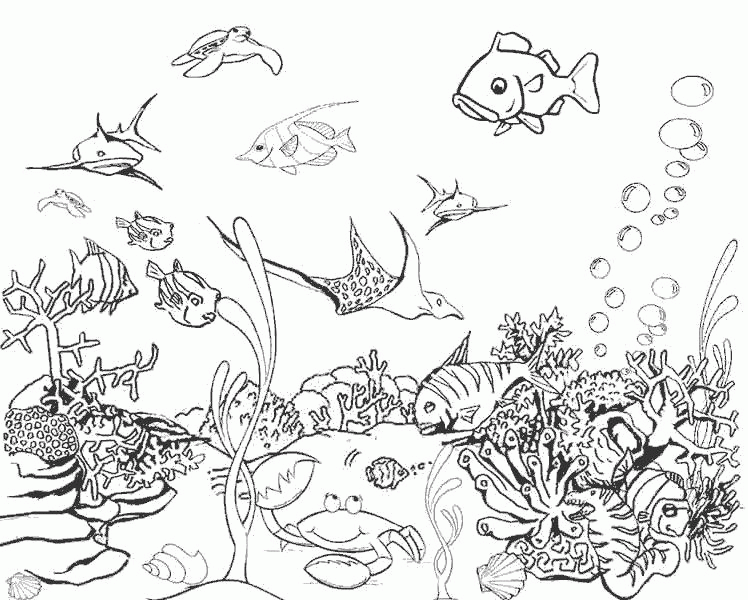 Раскраска Раскраска  подводный мир подводный мир, жители океана, рыбки, рак, скат, водоросли . Скачать Рыбы.  Распечатать Морские животные Скачать .  Распечатать 