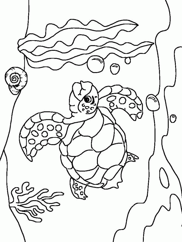 Название: Раскраска Морская черепаха и водоросли. Категория: . Теги: .